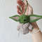 crochet yoda.jpeg