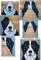 bernese dog quilt.jpg