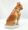 7 Vintage Porcelain Figurine Dog Boxer USSR 1950s.jpg