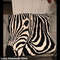 loop-yarn-zebra-blanket-3.png