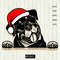 Christmas-Rottweiler-with-Santa-hat-and-sunglasses.jpg