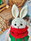 Stuffed toy bunny in costume crochet pattern.jpg