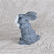 403-5 Little rabbit.jpg