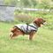 dogjacketharnesssilvergray.png