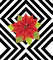 Poinsettia on black stripes.jpg