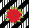 Poinsettia on black stripes2.jpg