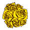 yellow roses6.jpg