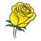 yellow roses8.jpg