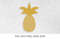 Pineapple001-Mockup1.jpg