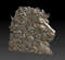 3D Model STL file Panel flowered lion head