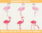 flamingo JPG.jpg