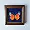 Handwritten-bright-red-and-yellow-butterfly-by-acrylic-paints-5.jpg