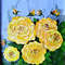Handwritten-bouquet-of-yellow-english-roses-by-acrylic-paints-4.jpg