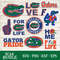 5-Gator-pride.jpg