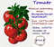 Photostitch Tomato.jpg