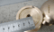 knobs_brass7.png