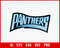 Carolina-Panthers-logo-png.jpg