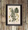 artemisia-absinthium-occult-botanic-art-print.jpg