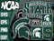 Michigan State Spartans.jpg