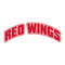 Detroit Red Wings1.jpg