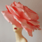 Derby Hat.jpg