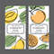 MANGO ORANGE LABELS [site].jpg