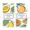 MANGO ORANGE LABELS [site].png