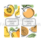 PEACH ORANGE LABELS [site].png