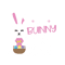 bunny-09.png