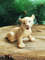 figurine lion cub porcelain