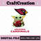 CV_BYF11 Arizona Cardinals.jpg