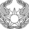 Air Force Commander Badge Vector File.jpg