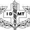 Air Force IDMT Badge Vector File.jpg