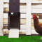 automaticchickenhousedooropenerchickencoopdoor1.png