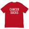 MR-1742023112452-cancer-sucks-shirt-hey-cancer-f-u-funny-cancer-warrior-red.jpg