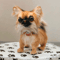 chihuahua_toy_handmade_realistic_dog_toy.jpg