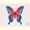 Red Blue Butterfly Sublimation.jpg