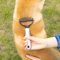 petdemattingcombforeasyandknotfreegrooming2.png