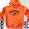 Hoodie copy 5.jpg