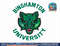 Binghamton Bearcats Icon Logo Officially Licensed  png, sublimation copy.jpg