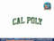 Cal Poly Mustangs Vintage Arch Logo Officially Licensed  png, sublimation copy.jpg