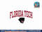 Florida Tech Panthers Arch Over Dark Heather  png, sublimation copy.jpg