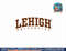 Lehigh Mountain Hawks Icon Officially Licensed  png, sublimation copy.jpg