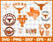 Texas Longhorns.jpg