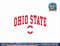 Ohio State Buckeyes Arch Over Logo Black Officially Licensed  png, sublimation copy.jpg