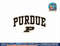 Purdue Boilermakers Arch Over Dark Heather  png, sublimation copy.jpg