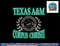Texas A&M Corpus Christi Islanders Laurels Royal Blue  png, sublimation copy.jpg