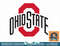 Kids Ohio State Buckeyes Icon Gray Kids  png, sublimation.jpg