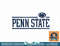 Penn State Nittany Lions Power Vintage White  png, sublimation.jpg