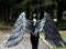 adult wings costume, Maleficent costume, black angel wings, devil wings, crow cosplay wings, raven costume, final fantasy, articulating wings, anime cosplay win